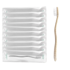 Gentle Green Toothbrush Family Pack (10 Count) – Eco-Friendly Wheat Straw Toothbrushes for Sensitive Teeth | BPA-Free, Travel-Friendly, Plastic-Free