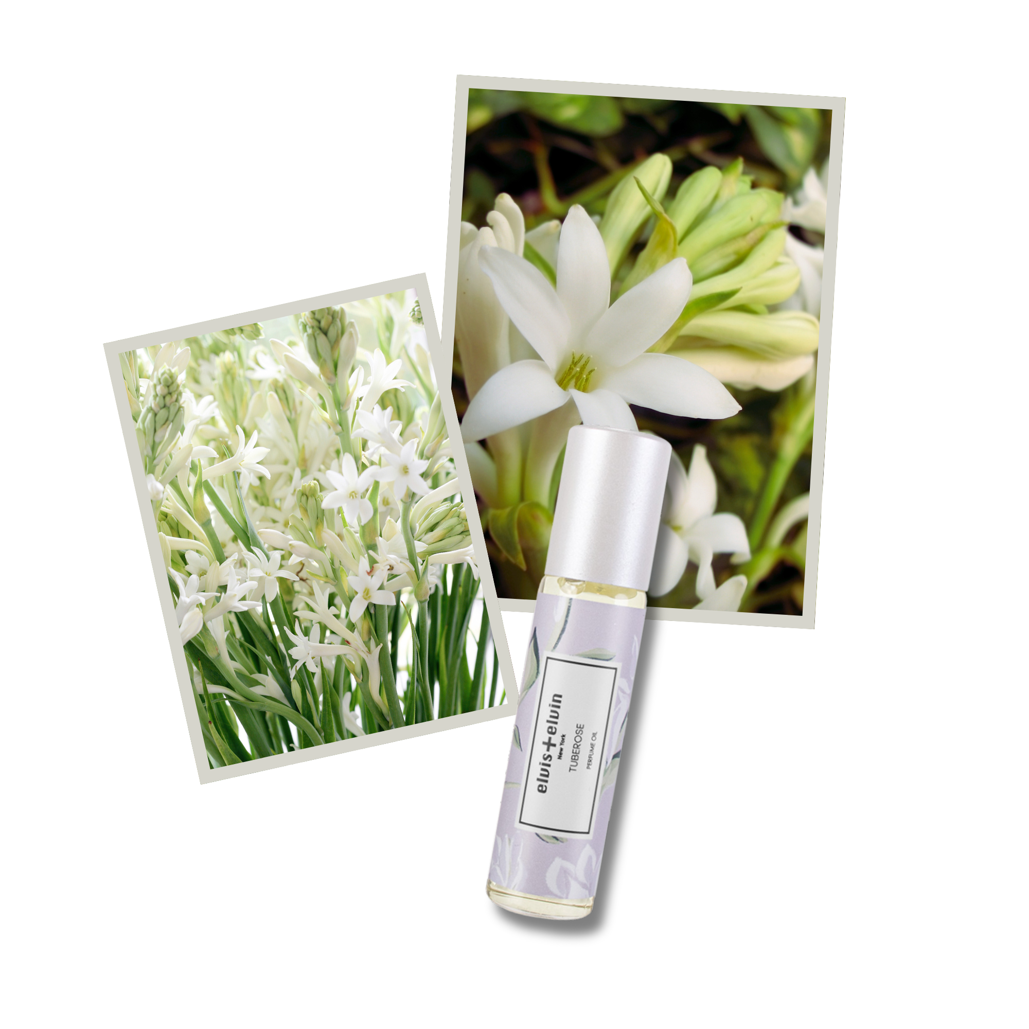 Tuberose Perfume Oil by elvis+elvin