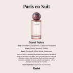 Caché - Paris en Nuit