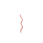 LIPLINER