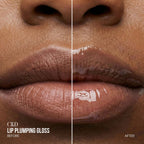 Lip Plumping Gloss